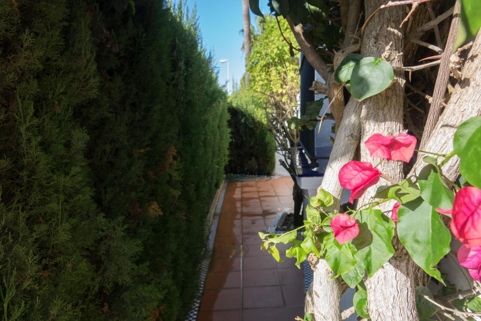 Apartamento Alextia La Barrosa Chiclana de la Frontera Kültér fotó